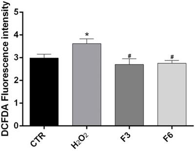 Corneal wound healing and nerve regeneration by novel ophthalmic formulations based on cross-linked sodium hyaluronate, taurine, vitamin B6, and vitamin B12